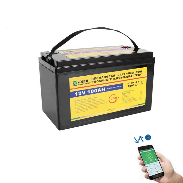 12v-100ah-LiFePO4-battery-pack-(5)